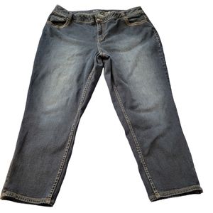 Lane Bryant HighRise  Ankle Jeans Genius Fit Stretch  Plus Size 22